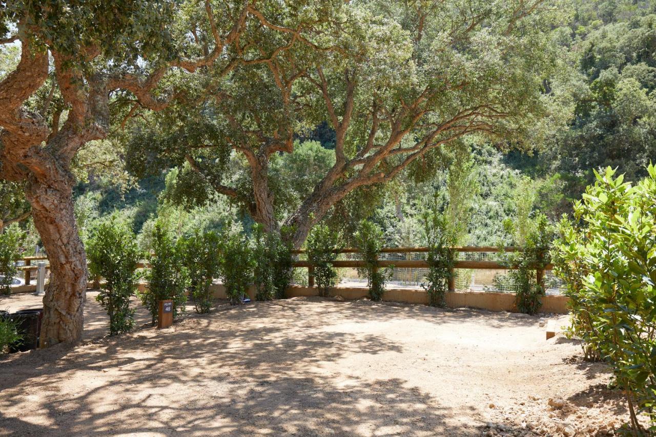 Pola Giverola Camp Tossa de Mar Extérieur photo
