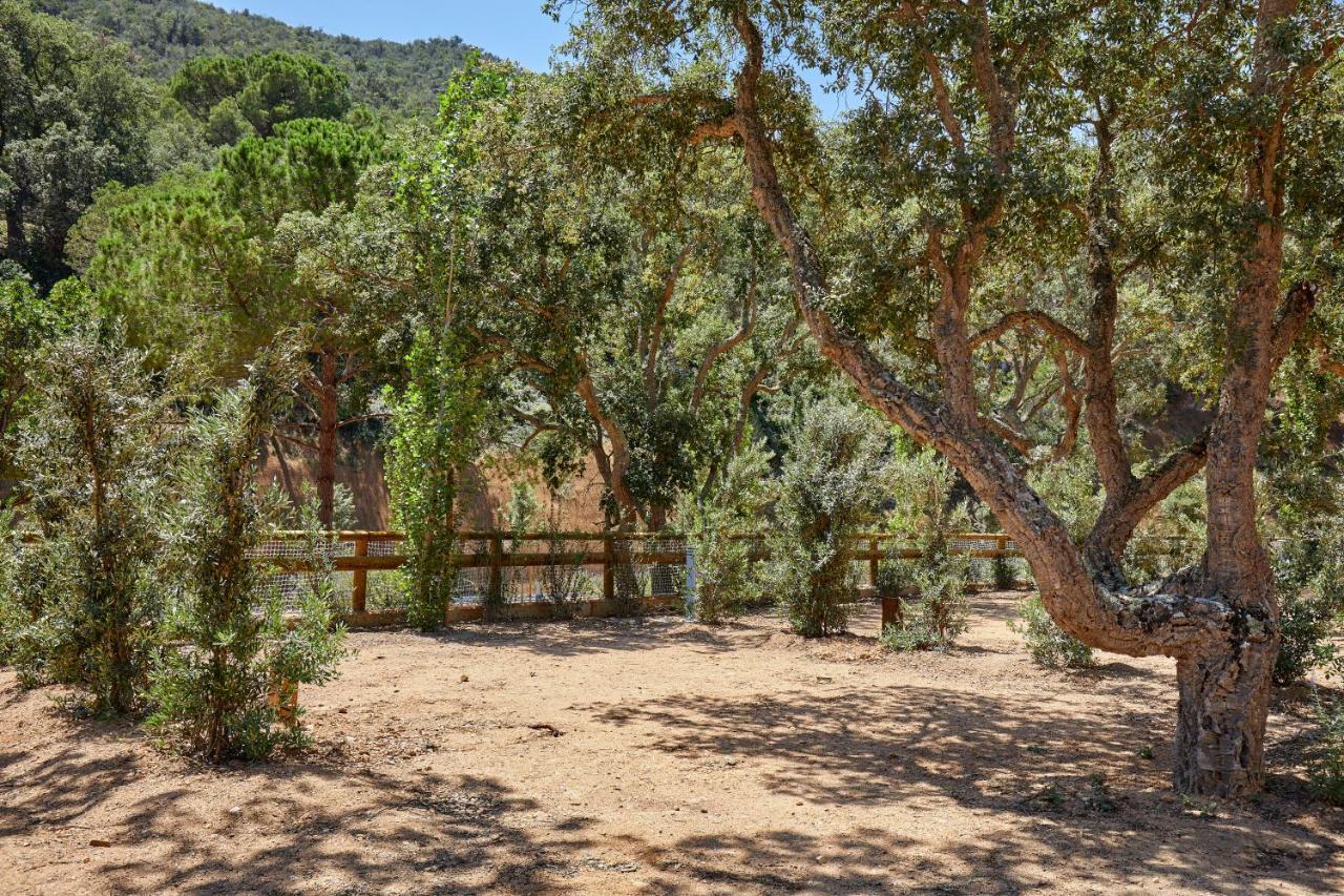 Pola Giverola Camp Tossa de Mar Extérieur photo